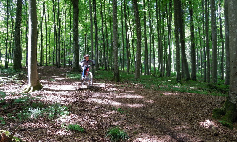 Kinder-/Jugend-Training