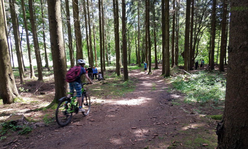 Kinder-/Jugend-Training