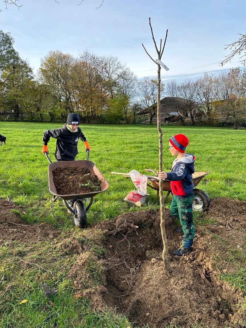 Obstbaum-Pflanzaktion