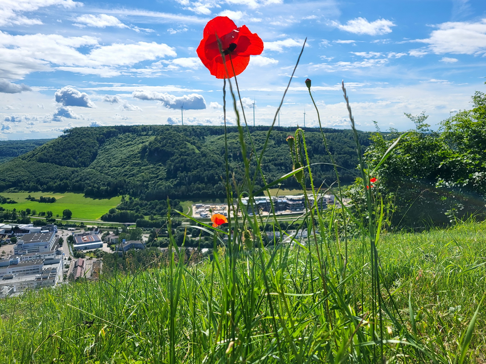 MTB-Tour Oberkochener Bänkle
