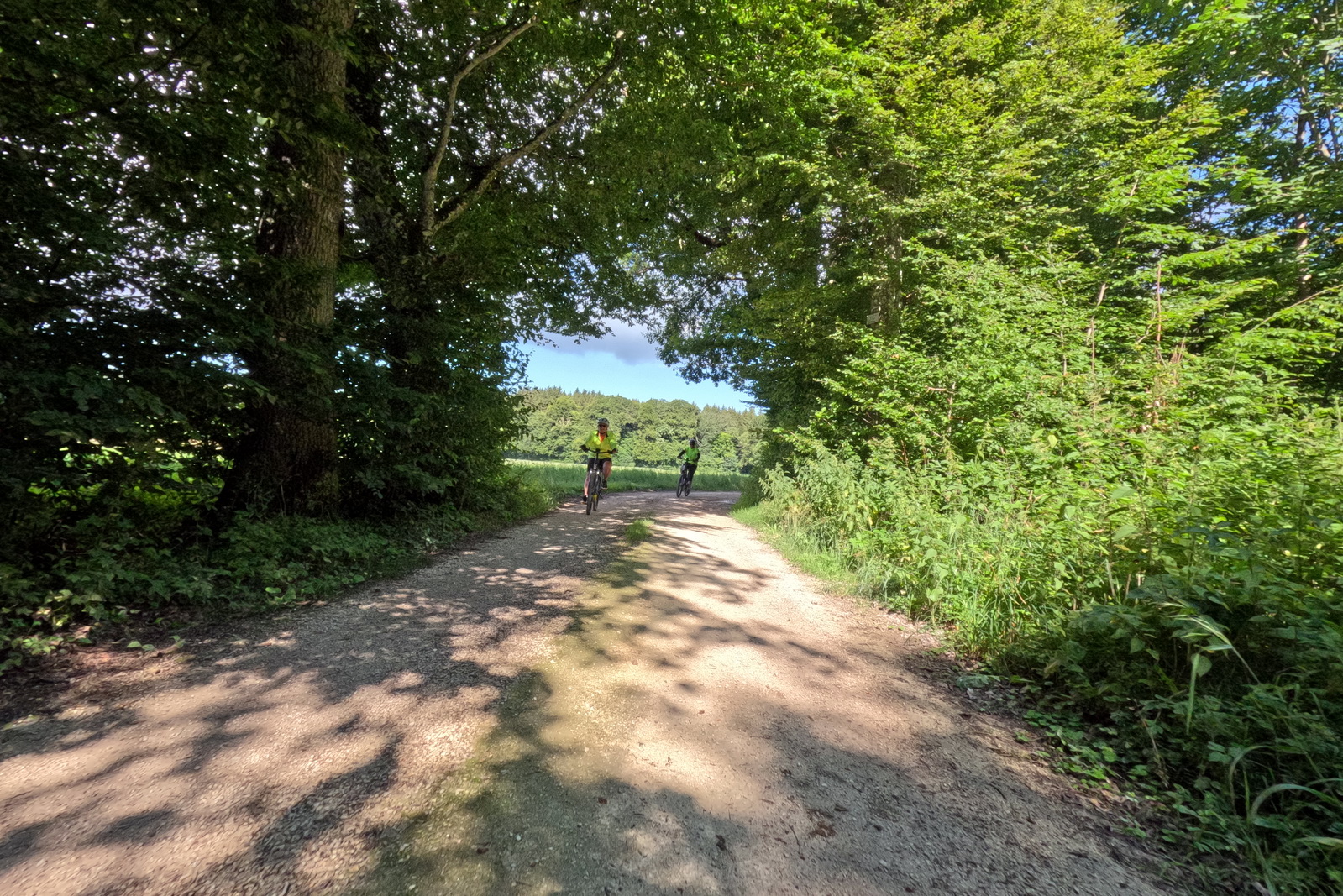 Mittwochsradler auf MTB-Tour