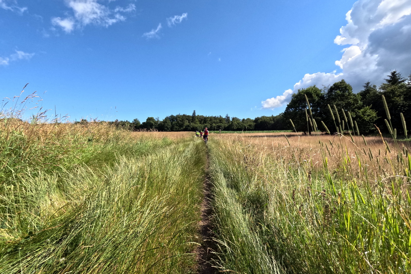 Mittwochsradler auf MTB-Tour