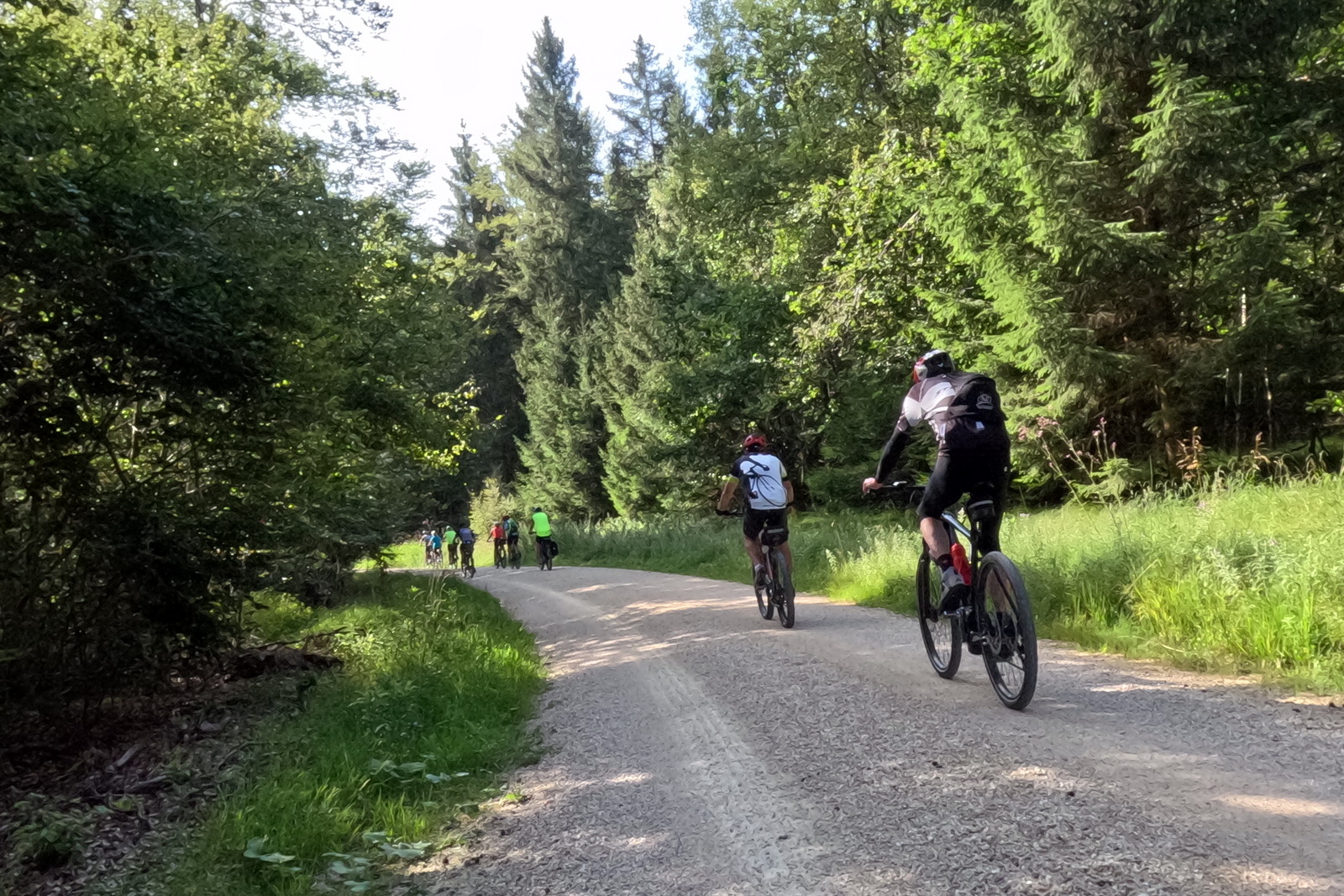 Mittwochsradler nochmals in Zähringen