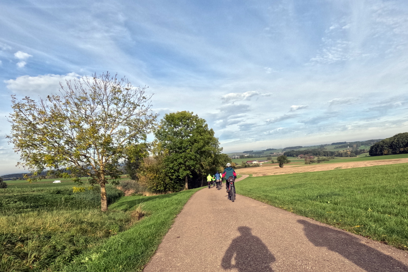 Mittwochsradler im grünen Wald