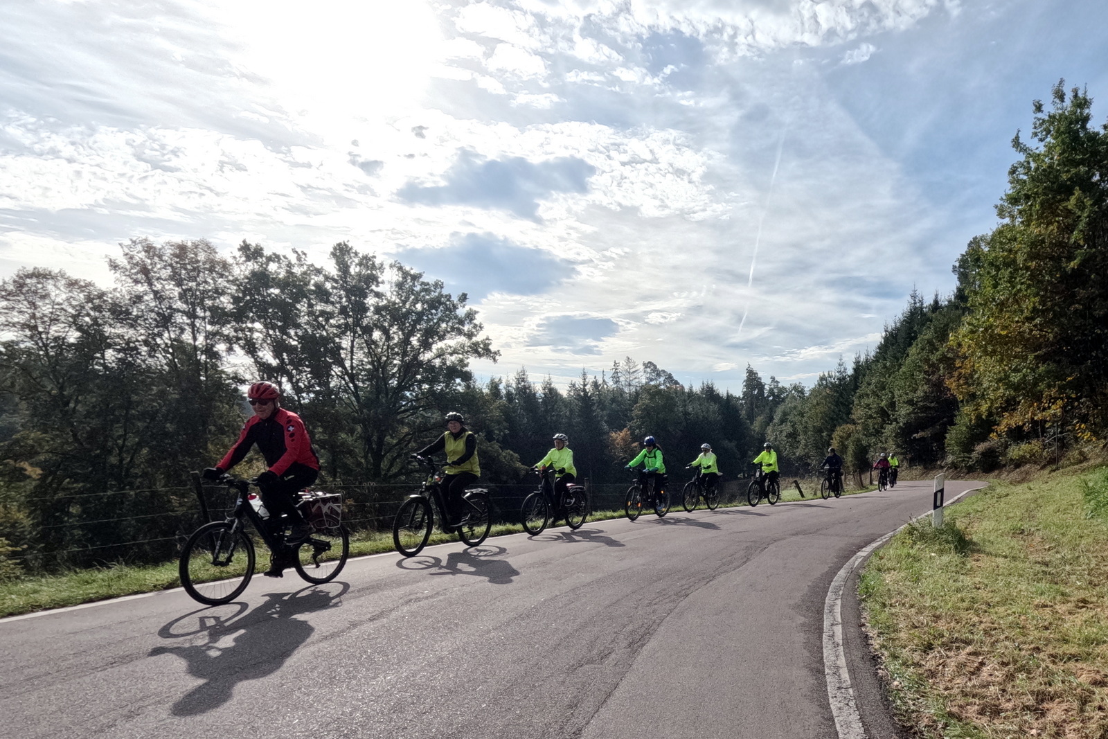 Mittwochsradler im grünen Wald