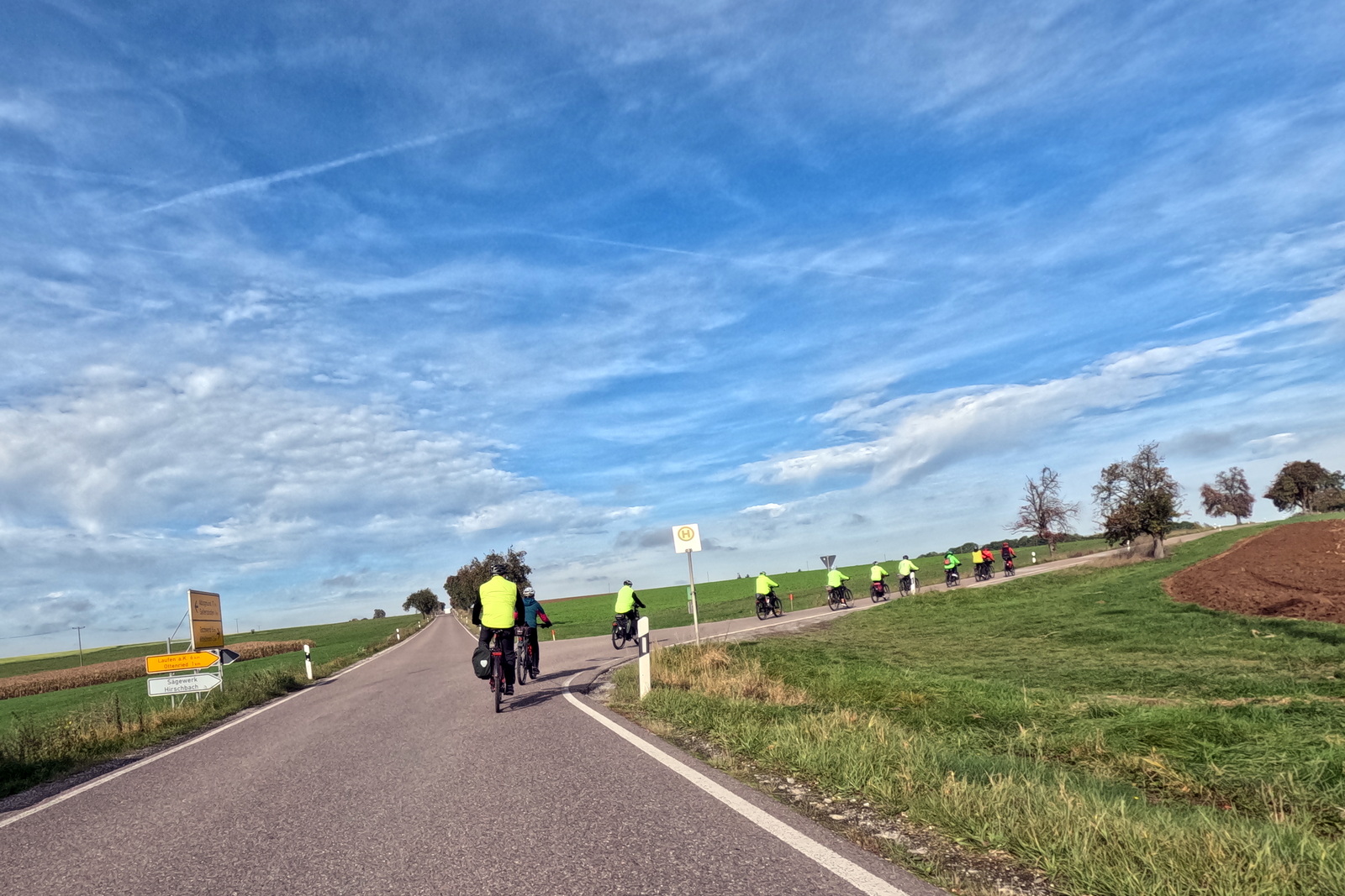 Mittwochsradler im grünen Wald