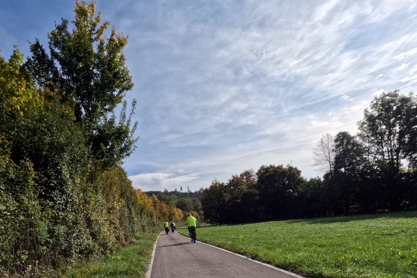 Mittwochsradler im grünen Wald