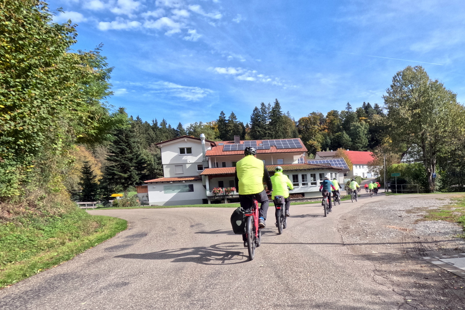 Mittwochsradler im grünen Wald