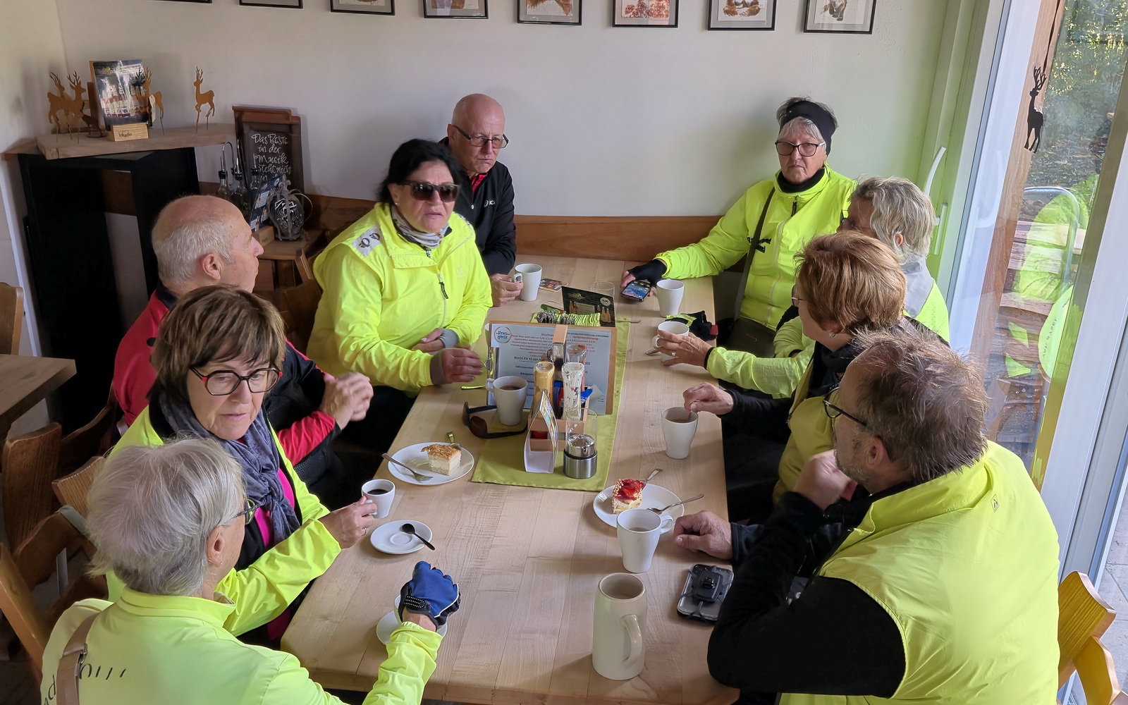Mittwochsradler im grünen Wald
