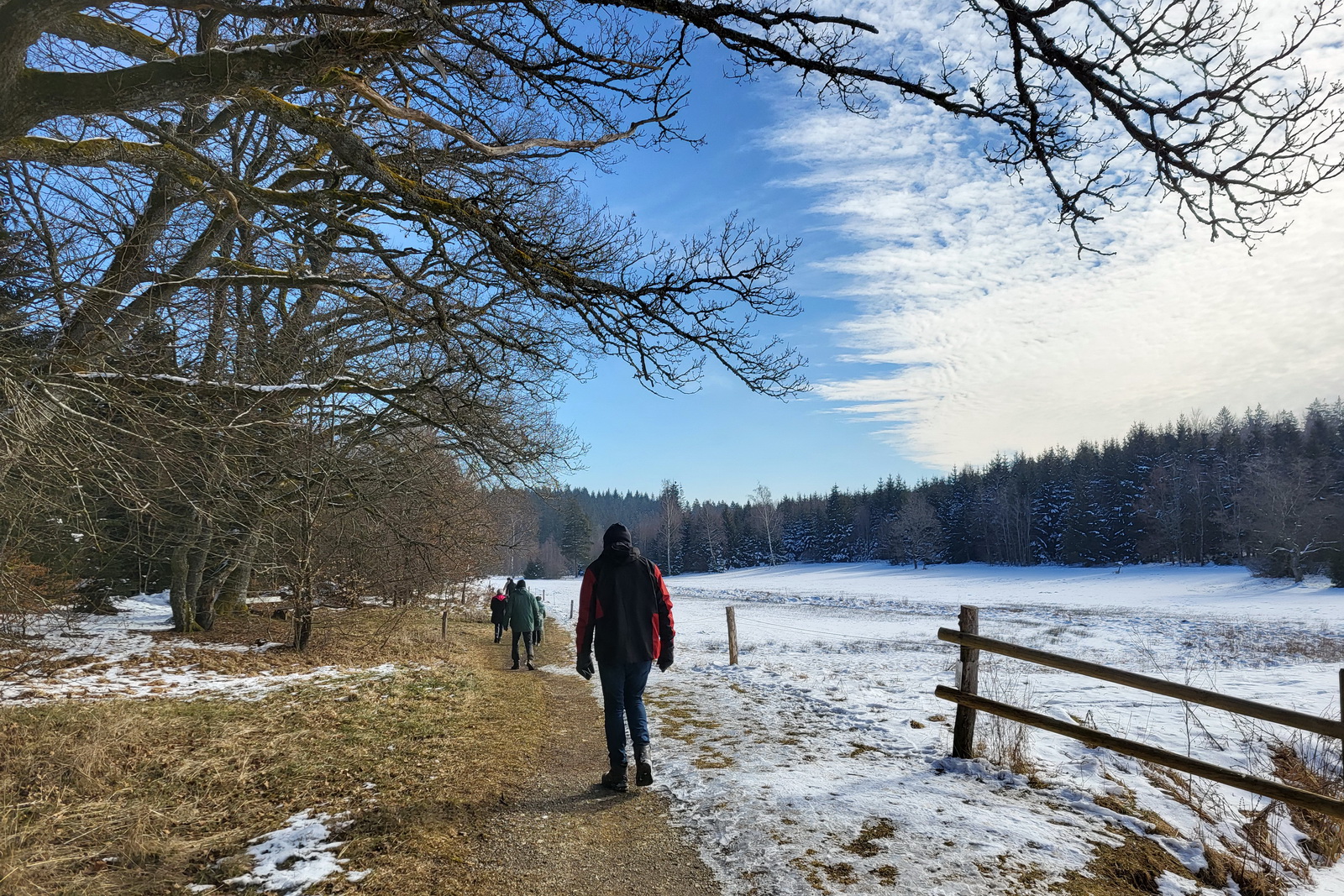 Wanderung nach Tauchenweiler
