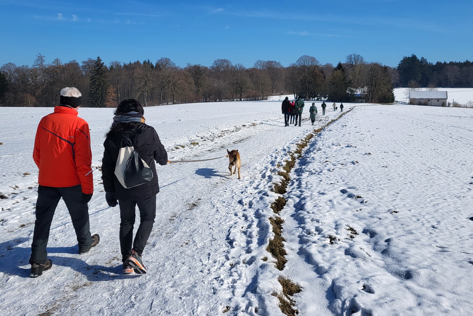 Wanderung nach Tauchenweiler