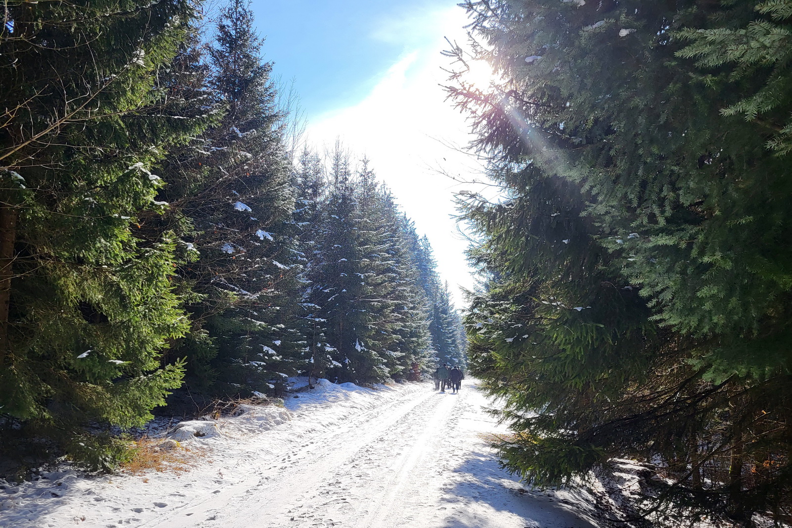 Wanderung nach Tauchenweiler