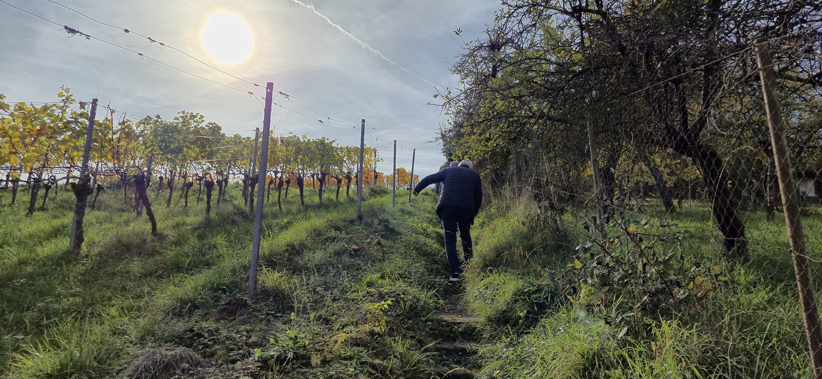 Wanderung im Remstal