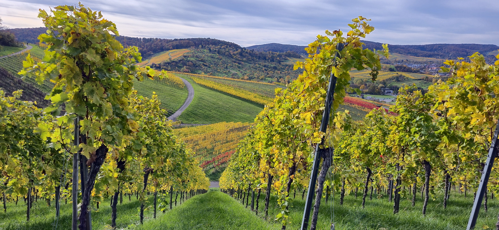 Wanderung im Remstal