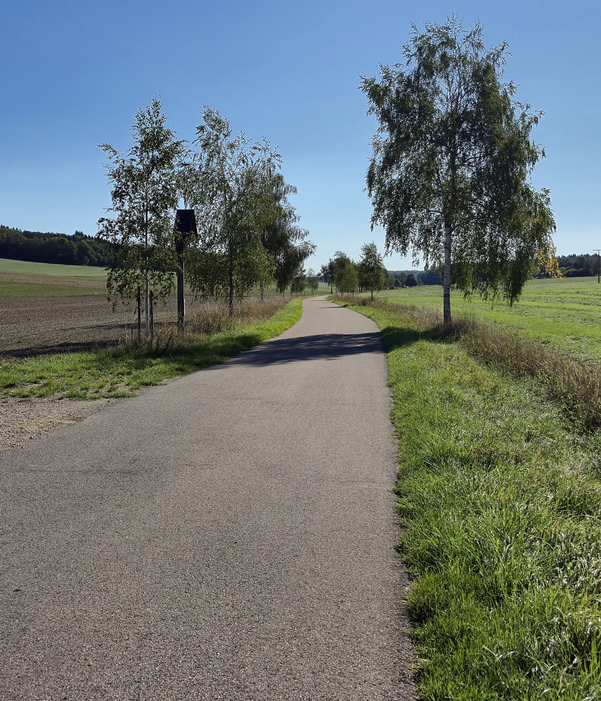 Lauchhoffest im September