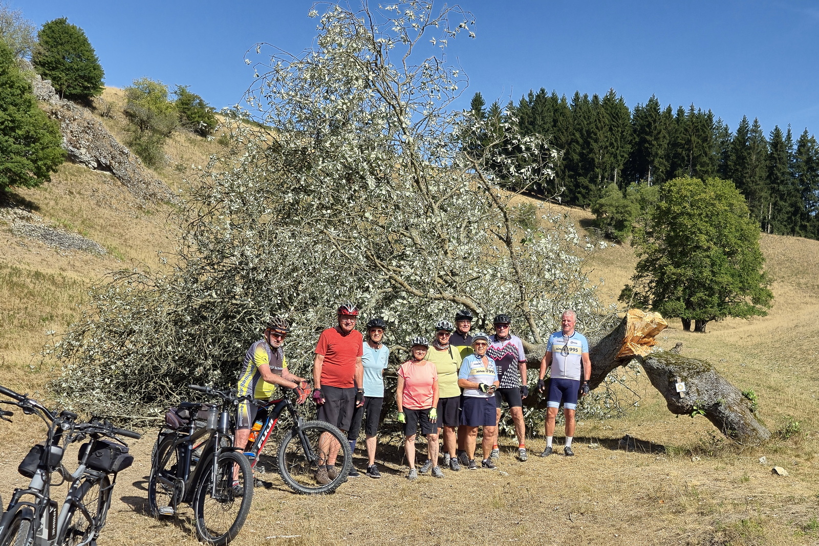 MTB-Tour durchs Mauertal ins Kühholz