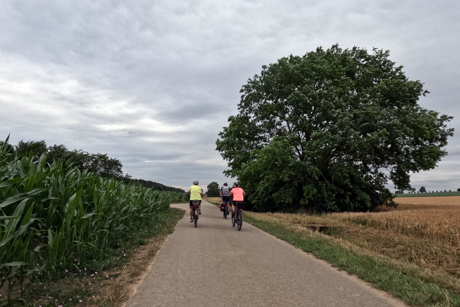 Mittwochsradler unterwegs nach Dettingen