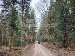 28.02.2024 - Wanderung nach Zang