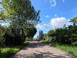 05.07.2024 - Mittwochsradler unterwegs ins Lonetal