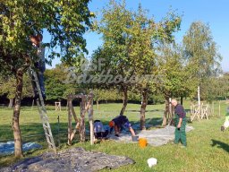 21.09.2024 - Zwetschgenernte auf dem Lauchhof