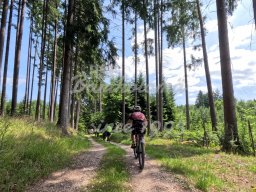 11.06.2025 - Mittwochsradler in Espachweiler