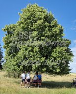 05.07.2026 - MTB-Tour nach Neuselhalden