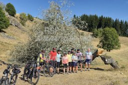 09.08.2026 - MTB-Tour ins Mauertal